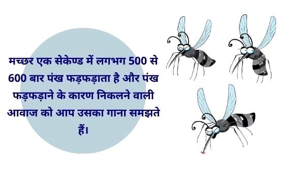 Amazing facts about mosquito in hindi