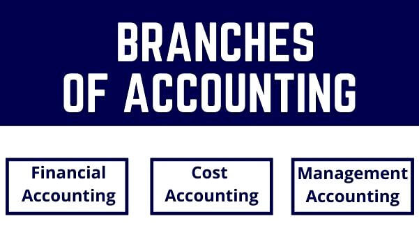 Branches of Accounting in Hindi