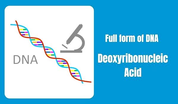 full form of DNA